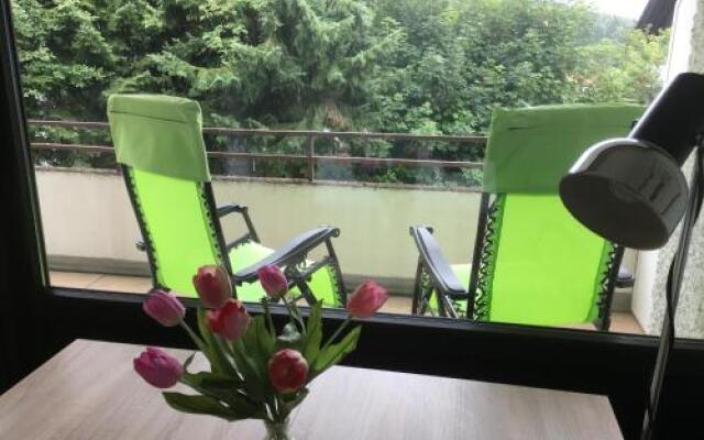 Ferienwohnung Harzmond