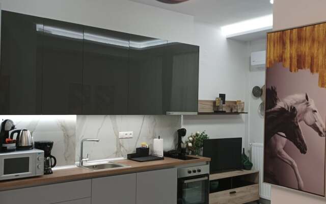 Atelier Deluxe Apt Must