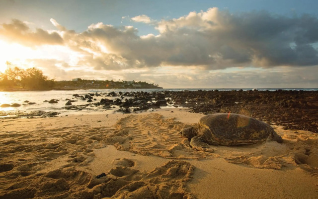Marriott's Waiohai Beach Club