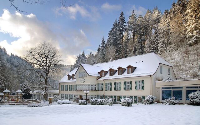 Waldhotel Bad Sulzburg