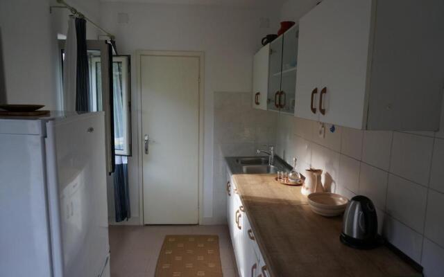 Apartment Stiniva