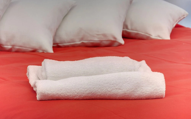 Elegant Suite located near Central Station of Florence
