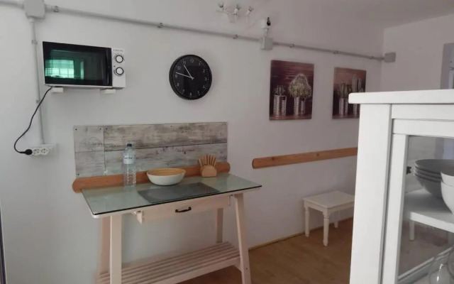 Big, large cozy apartment with sea view