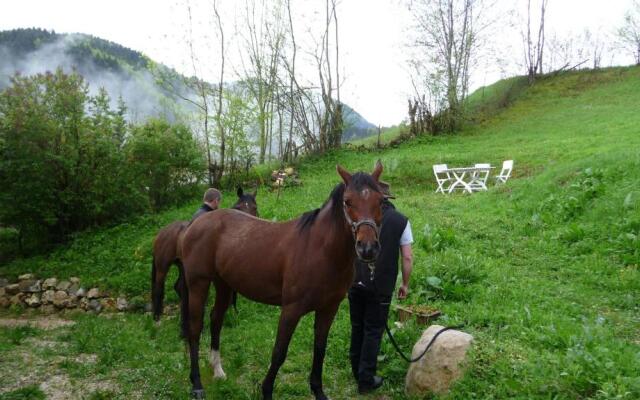 La Chouette à l'heure du Pinson