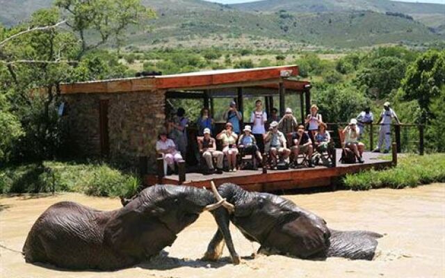 Addo Elephant Back Safaris and Lodge