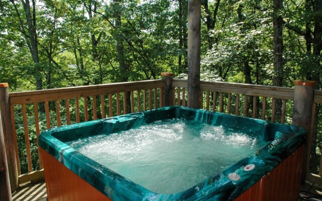 BEAR'S VIEW - 2 Br Cabin