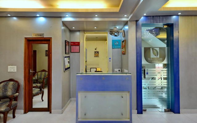 OYO 695 Hotel Silver Leaf