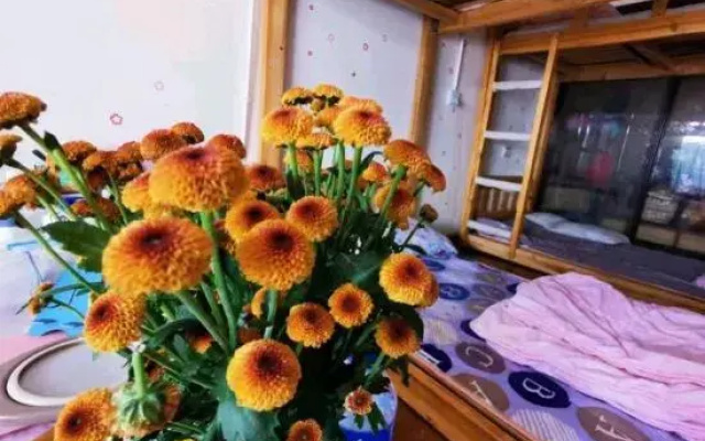 Small Youth Hostel Homestay  (Kunming Old Street Zhengyifang Branch)