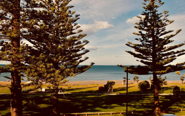 The Nautilus Napier
