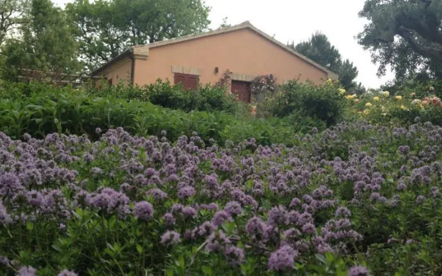 Bed & Breakfast Villa Marchesa