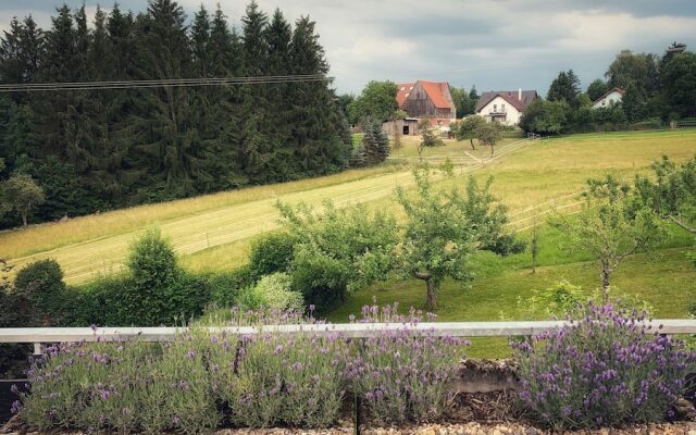 Ebnisee Apartments
