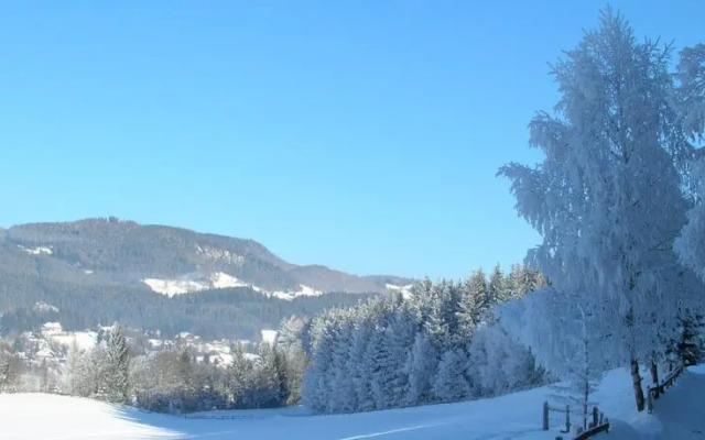 Ferienwohnungen Seifterhof