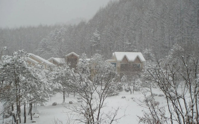 Shinevalley Pension & Hotel