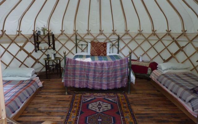 Ceridwen Glamping, Double decker Bus and Yurts