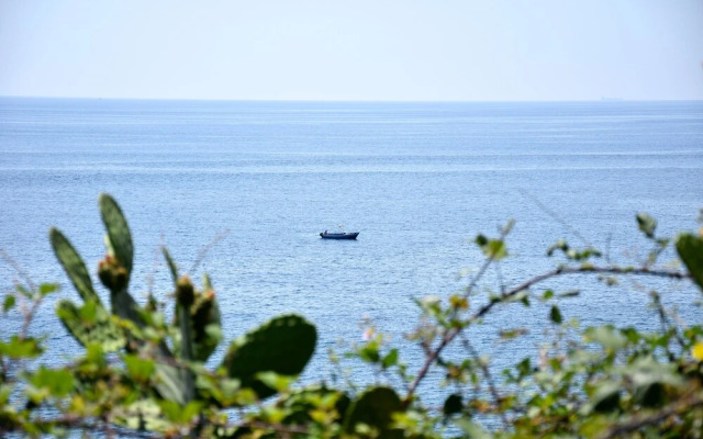 Riviera Degli Eucalipti
