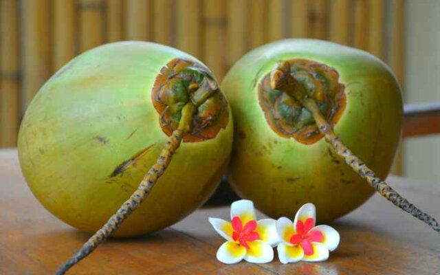 Coconut Dream Bungalow