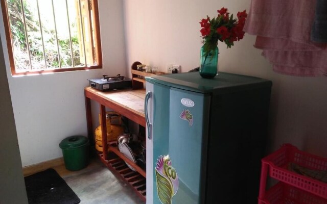 The Jungle House