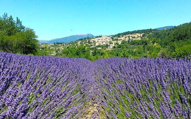 Le Mas des Lavandes