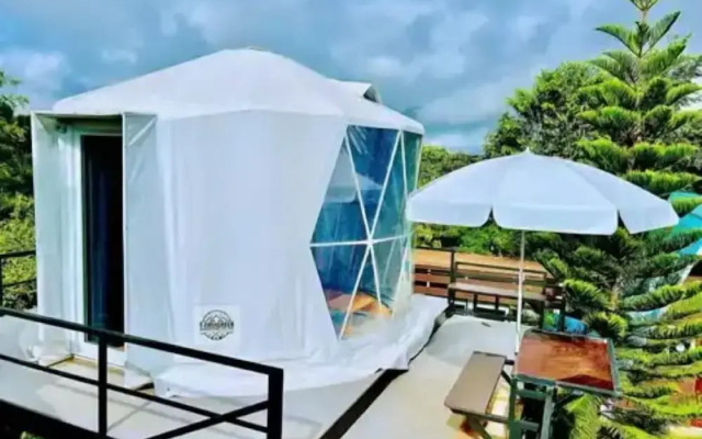 Yellowstone Cheewa View