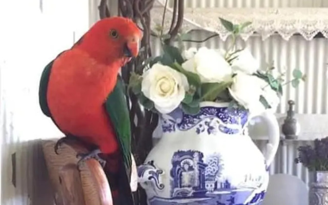 The Old Bakery in Historic Kangaroo Valley Village