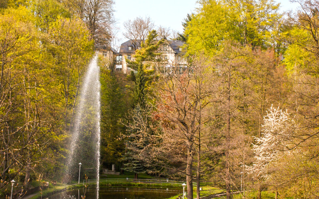 Parkhotel Waldschlösschen