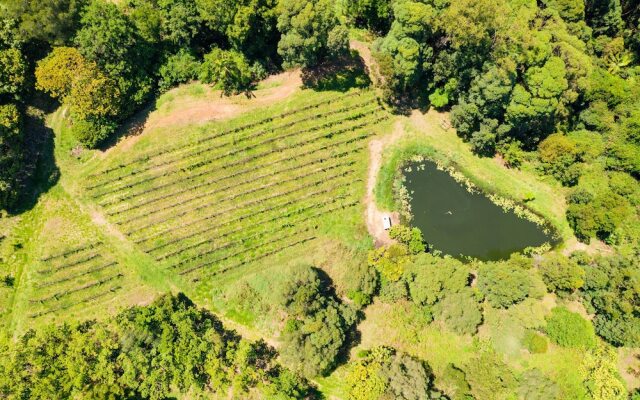 Clothiers Creek Farm