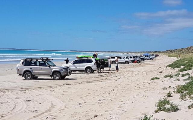 Sandpipers at Millicent