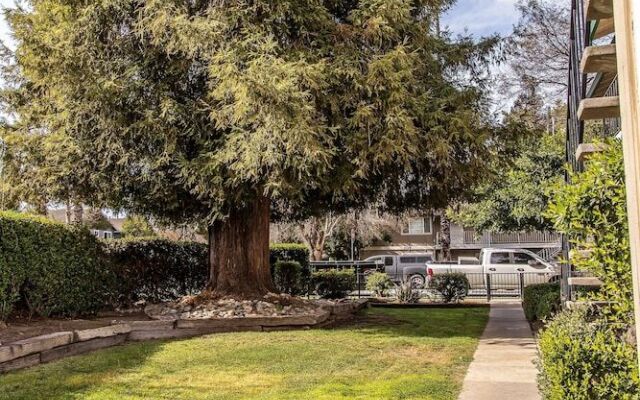 Stunning San Jose Two Bed