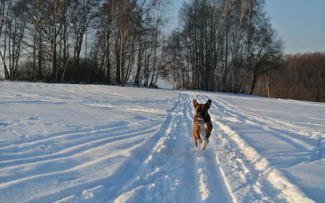 Penzion Motýlí Louka