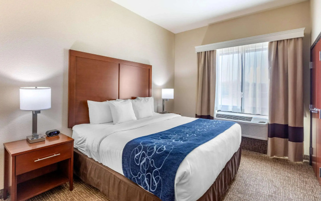 Comfort Suites Near Denver Downtown