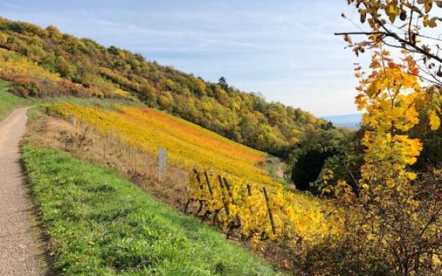 Le Gîte du Sommerberg