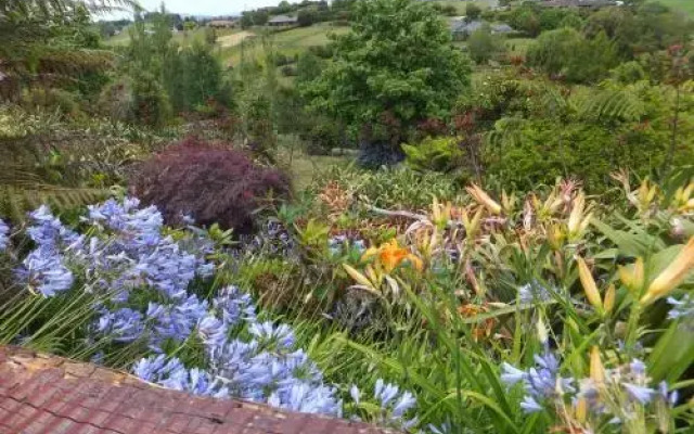 Waitomo Golfstays B&B