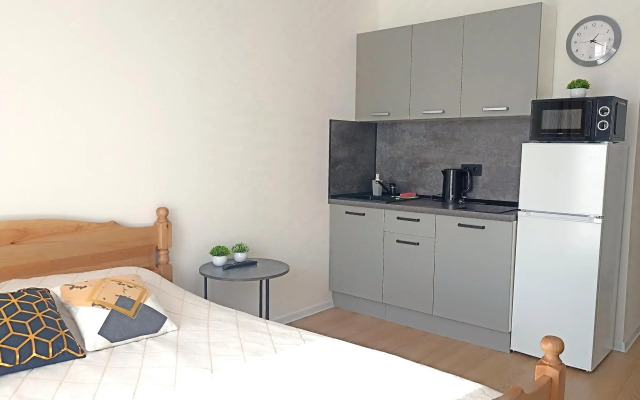 Уютные апартаменты на проспекте Маркса 99/3