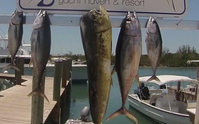 Spanish Wells Yacht Haven