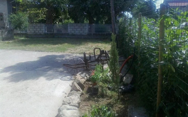 Bio B&B Riccio Volante