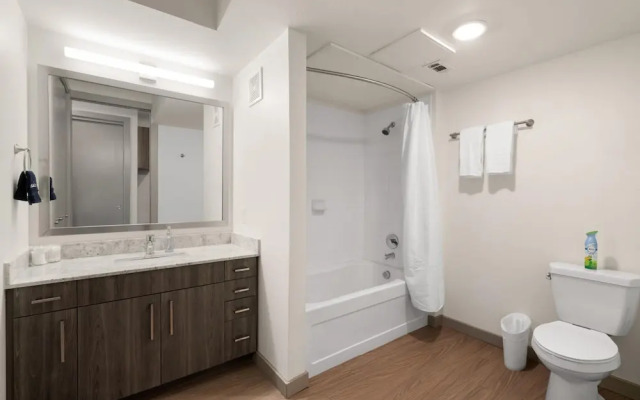 Arlington Modern Studio Apartment