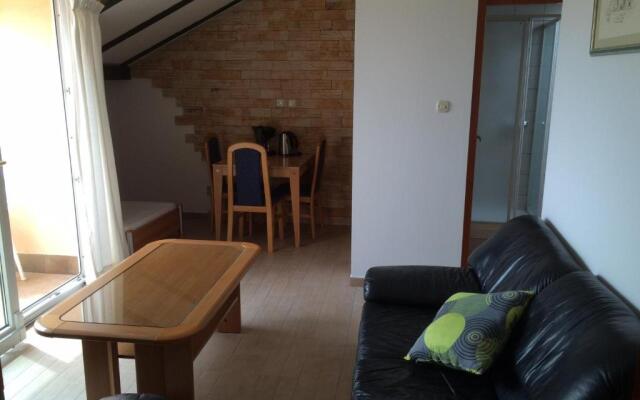 Apartments 30 m from the beach