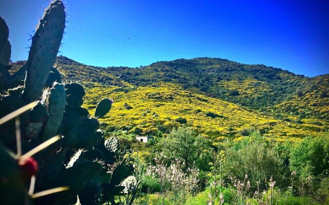 San Teodoro Bologna 2