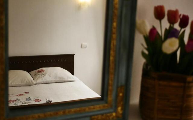 Les Oiseaux de Passage