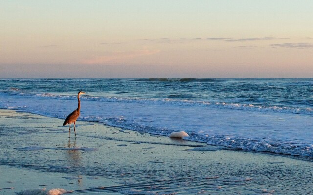 Club Sea Oats