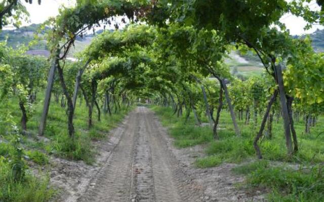 Tenuta La Pergola