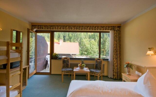Garni Hotel Alpin Scheffau