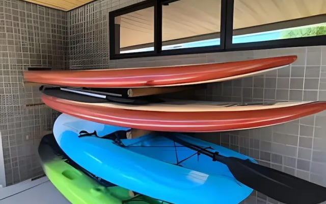 Studio Design 3 - Lions