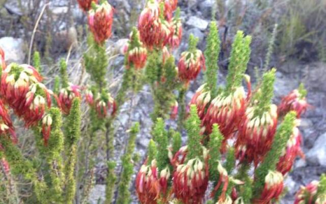 White Bridge Farm Accommodation