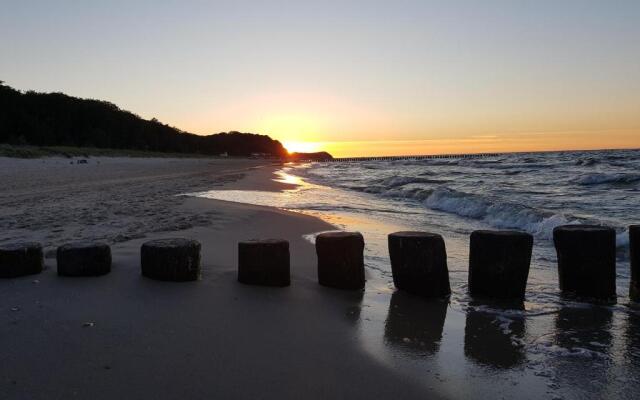 Dünenhaus - Bungalow 2
