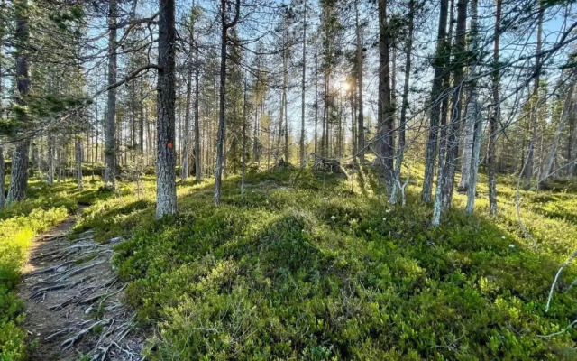 Lapiosalmi Wilderness Center