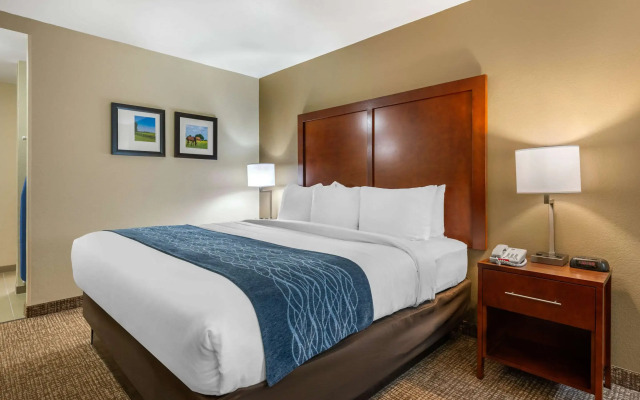Comfort Inn Ocala Silver Springs
