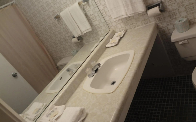 Empress Inn and Suites by The Falls
