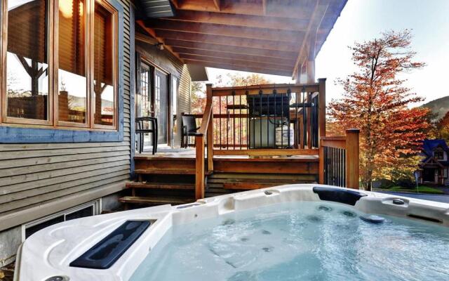 Chalet- 21 Chemin des Skieurs