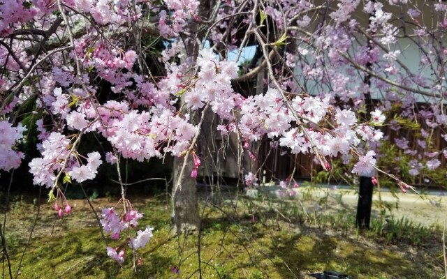 Yuhigaura Onsen Konoya